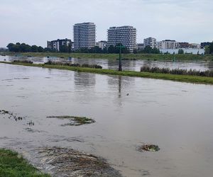 Fala powodziowa we Wrocławiu. Pod wodą są już beach bary i drogi 