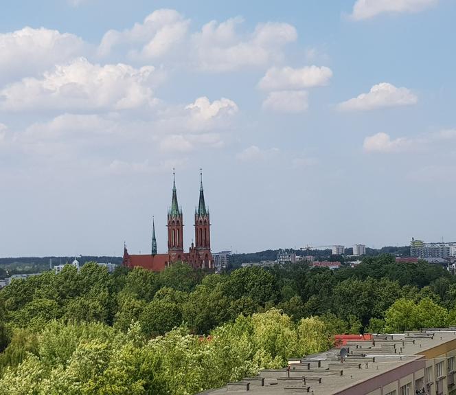 Odwiedziliśmy Letnią Czytelnię Książnicy Podlaskiej. Piękny widok na panoramę Białegostoku [ZDJĘCIA]