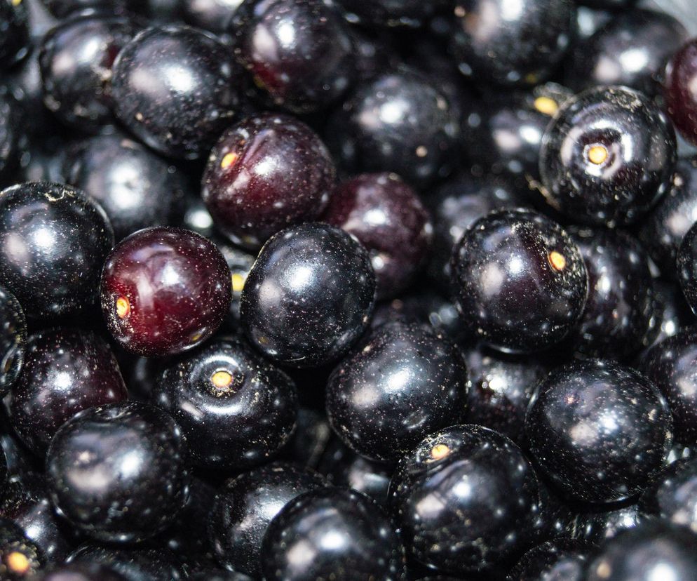 Mówili, że jest trująca. Ta roślina wspomoże walkę z przeziębieniem i ukoi lęki