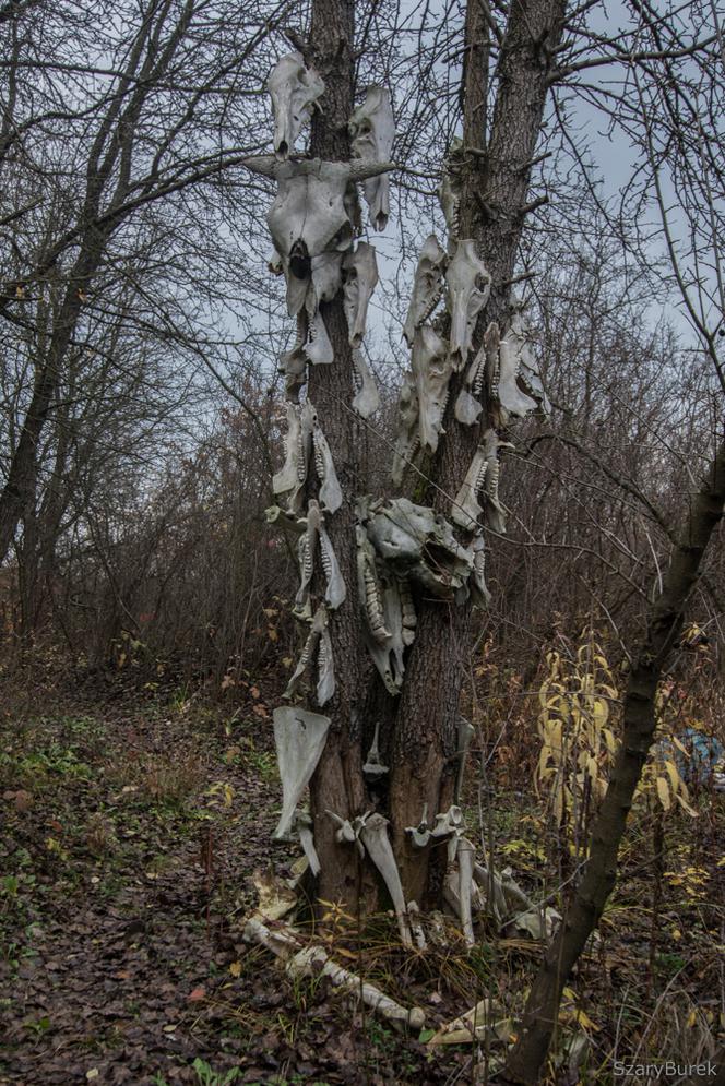 Przerażający totem pod Warszawą