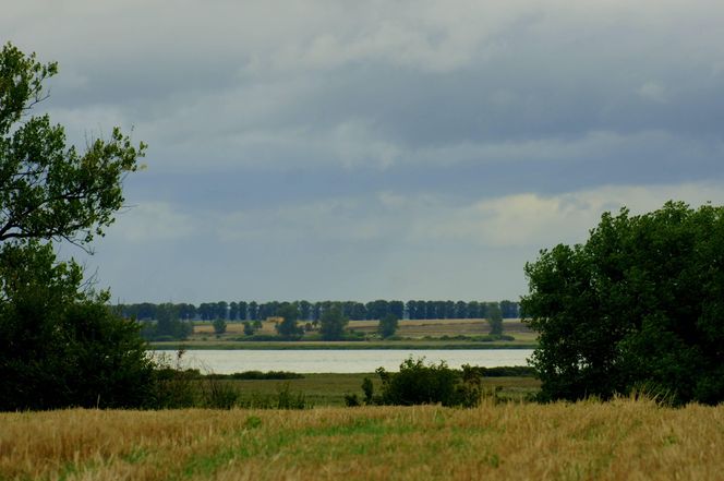 Jezioro Miedwie