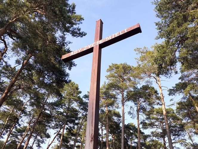 Brzoza Toruńska 40 lat po katastrofie kolejowej