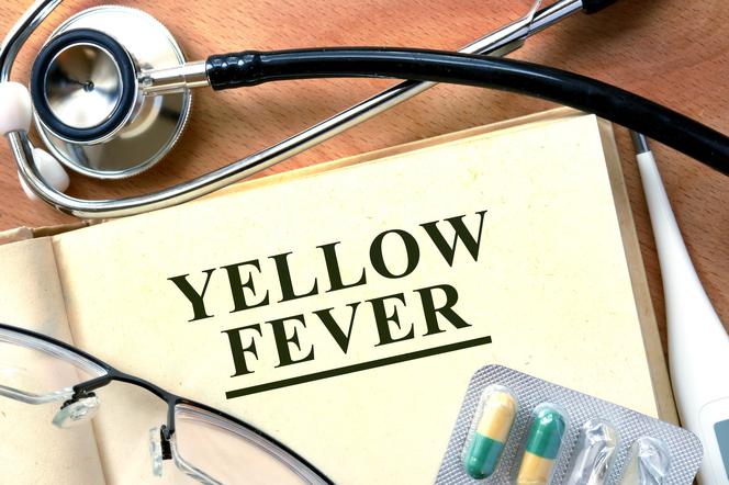 Żółta gorączka (żółta febra, febris flava)