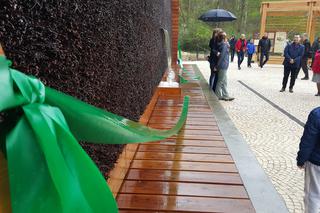 Tężnia solankowa w Jaworznie