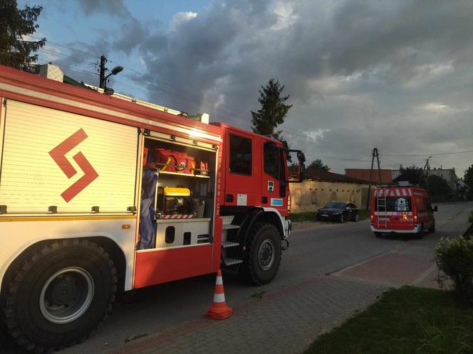 Żmieje zadomowiły się wśród traw w pobliżu domu. Obok bawiły się dzieci 