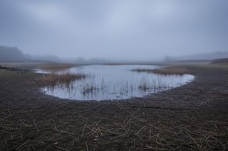 Karolina Wróbel: Koniec poszukiwań na stawie Błaskowiec. Co ustalili śledczy w Czechowicach-Dziedzicach?