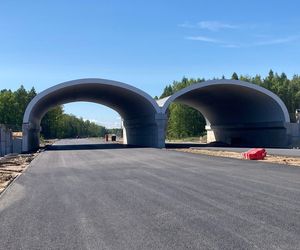 Budowa odcinka S19 Haćki-Bielsk Podlaski