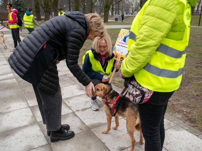 Nowi wolonariusze w łódzkim schronisku