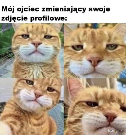 Memy na Dzień Ojca 2026. Zobacz najśmieszniejsze obrazki z tatą w roli głównej [GALERIA]