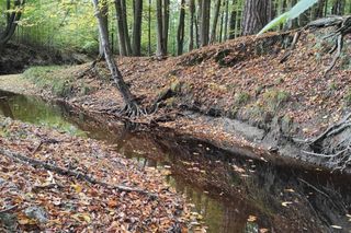 Nazwa tej rzeki na Podkarpaciu może przywoływać dziwne skojarzenia. Występuje w niej ponad 300 gatunków