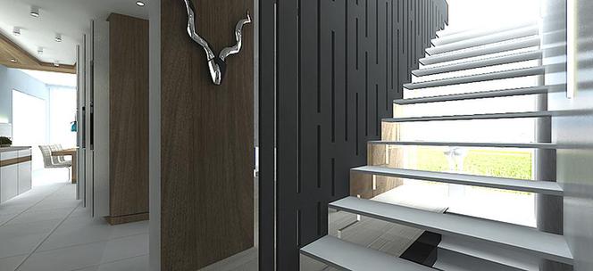 projekt wnętrza dużego domu ze spa zdjecie nr 9