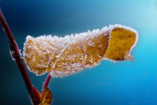 Potężny spadek temperatury już za moment! Słupki rtęci zjadą poniżej tej granicy