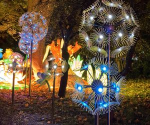 Garden of Lights we Wrocławiu