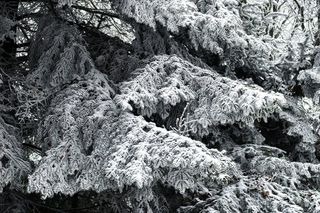 Pierwszy śnieg w Bieszczadach