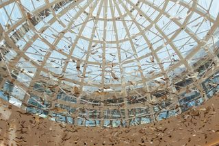 Szklana instalacja w Dubaju autorstwa Edyty Barańskiej