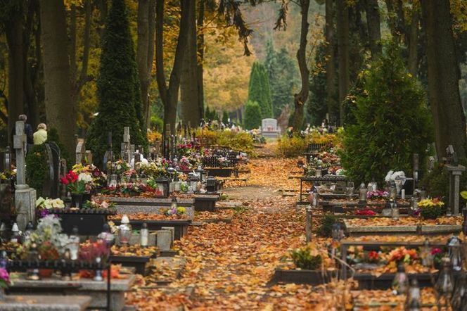 Koszty pogrzebów w Polsce wyższe niż w Niemczech? Tak wynika z nowego raportu WEI