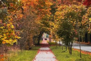 Śląska miejscowość z nowymi ulicami. Jakie nazwy uchwalono?