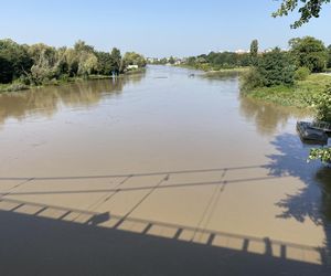 Sytuacja powodziowa we Wrocławiu: Mieszkańcy razem ratują wrocławskie zoo. Nie chodzi tylko o zwierzęta