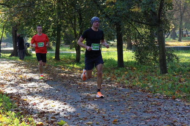 Biegacze opanowali Lublin! Za nami Półmaraton Lubelski 2025