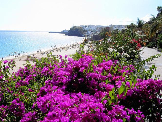 Plaża Sotavento, Fuerteventura