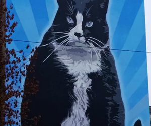 Mural z kotem Gackiem już odsłonięty