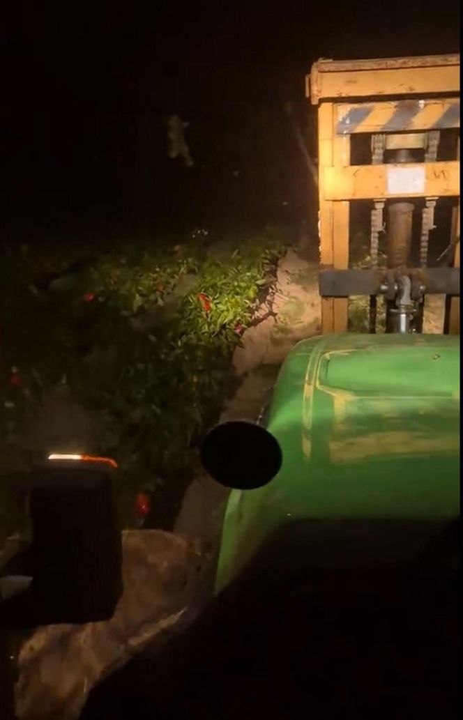 Rolnik rozdają paprykę za darmo! Ceny na skupie to dramat