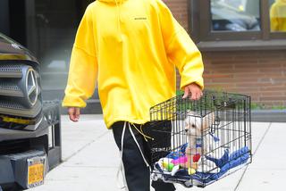 Justin Bieber i Hailey Bieber z psem