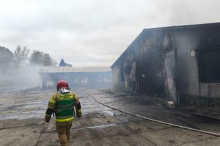 Ogromny pożar kurnika pod Olsztynem. W akcji udział brało aż 18 zastępów straży pożarnej [ZDJĘCIA]