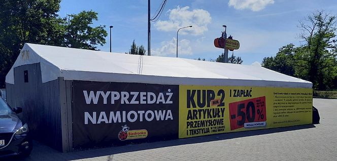 Biedronka na fali