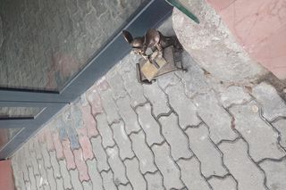 Myszka Molly jako zapracowany szklarz. Kolejna figurka z brązu stanęła, a właściwie usiadła za warsztatowym stołem przy bydgoskiej ulicy