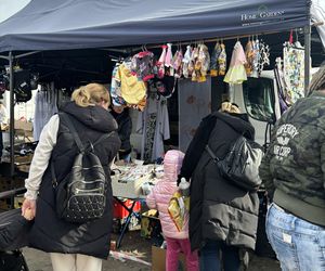 Niedzielny Targ - nowy pchli targ w Poznaniu