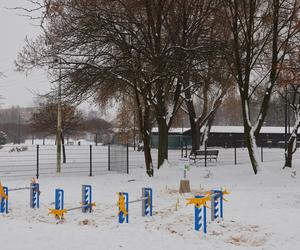 W parku Podolskim w Łodzi powstał nowy psi park