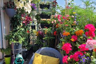 Warszawa w Kwiatach 2022