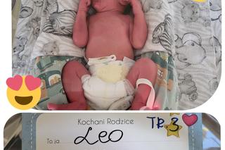 Powitajcie Laurę, Wiktora i Leosia! To kolejne trojaczki, które przyszły na świat w tym szpitalu