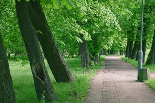 Gdański park w rejestrze zabytków! To jeden z najstarszych parków w mieście