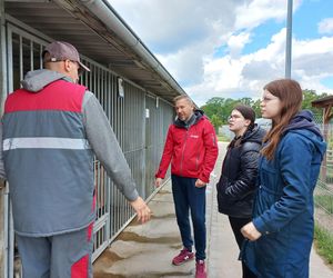 „Wszystkie psiaki nasze są” w schronisku w Henrykowie koło Leszna