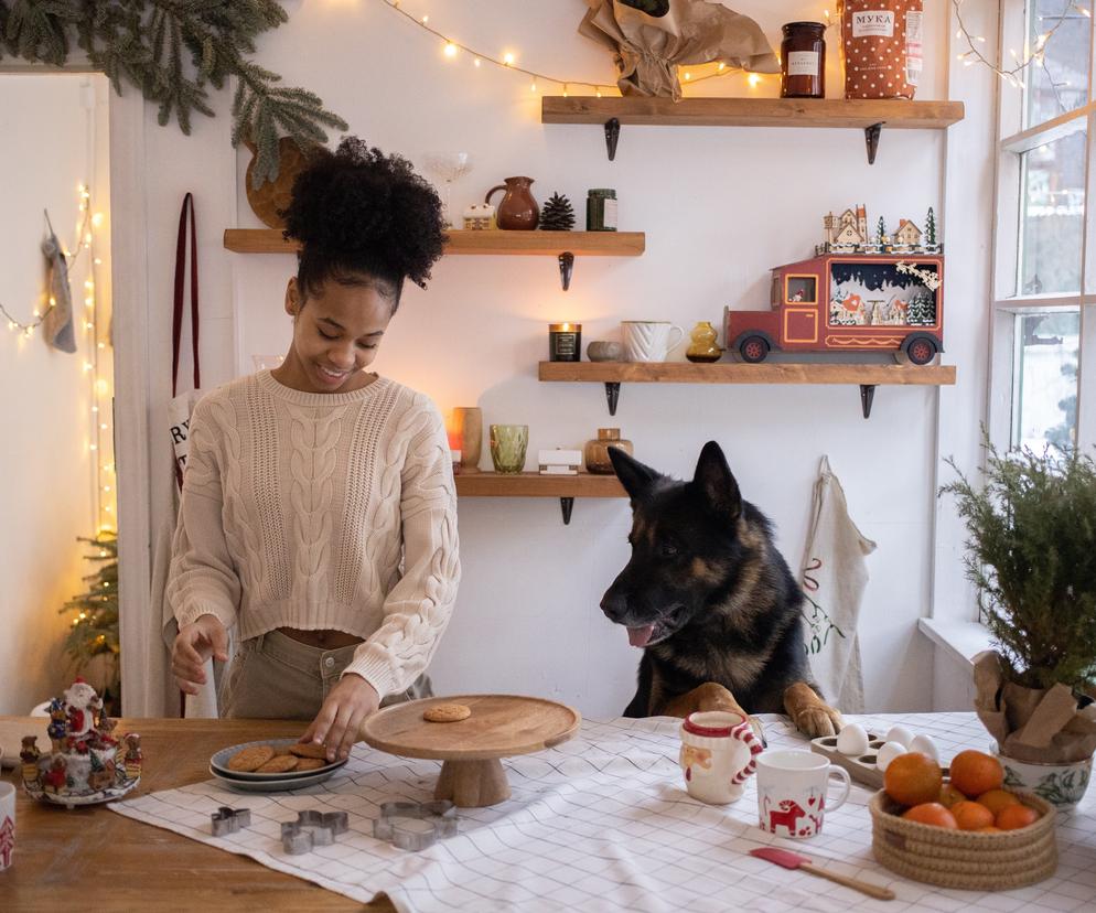 Psy i koty w Święta: nie dawajcie im tych rzeczy do jedzenia!