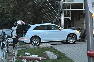 Cichopek wróciła do dzieci na tydzień