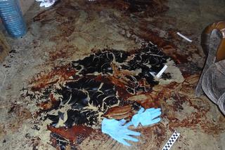 KOBIETA ZARŻNĘŁA KOCHANKA.