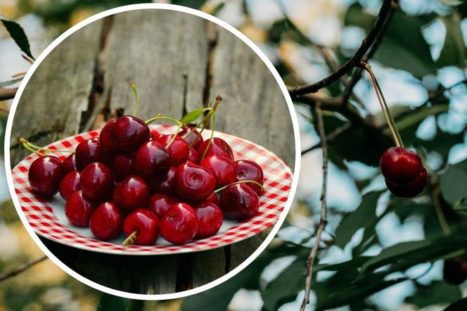 Nastolatka sprzedawała wiśnie dziadka, żeby zarobić na wycieczkę. Teraz wisi nad nią widmo kary