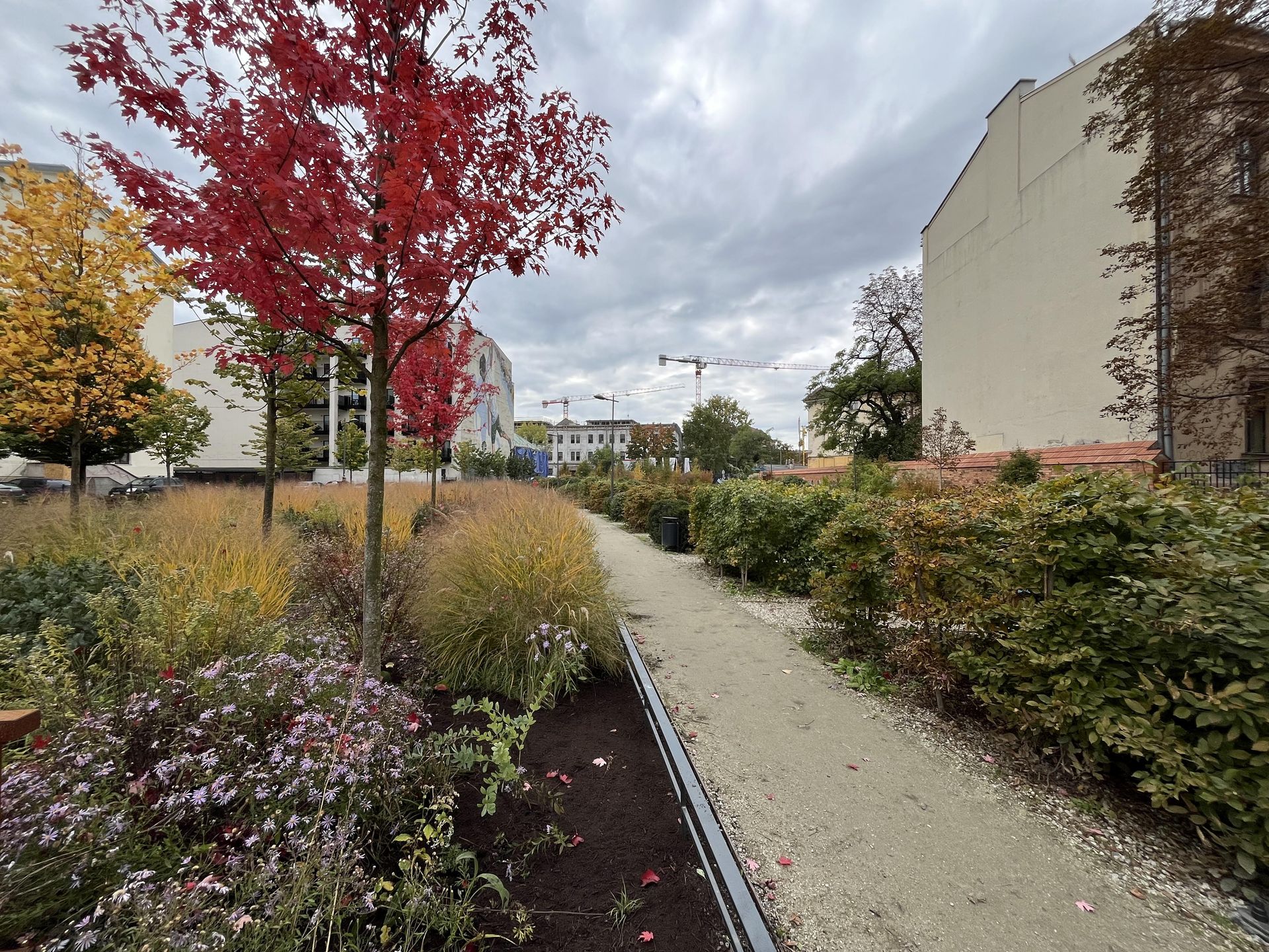 Park im. Wisławy Szymborskiej w Krakowie