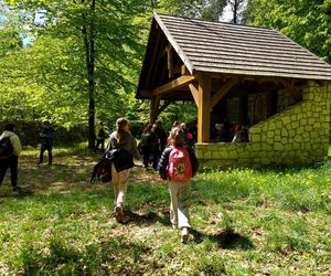 51 Rajd „Spotknie z Wiosną”