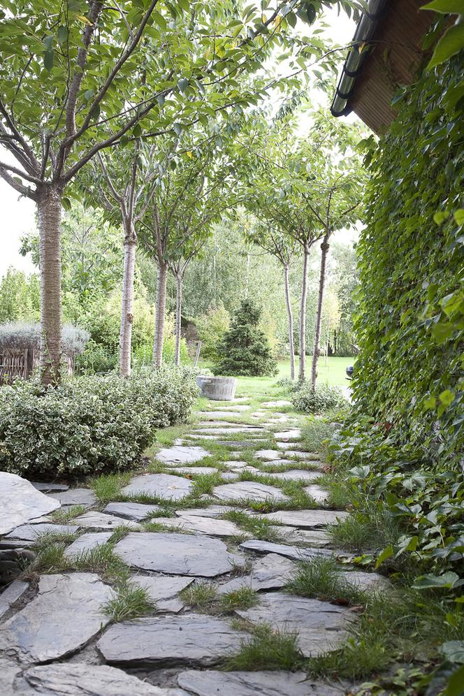 ścieżka wyłozona kamieniem naturalnym w aranżacji ogrodu