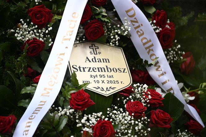 Grób prof. Adama Strzembosza