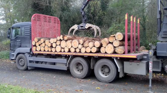 Kierowca ciężarówki przewoził drewniane bale w niewłaściwy sposób