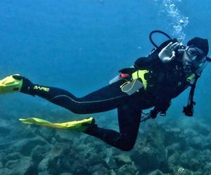 Rozmowa z Lukrecją Wilk z Chicago