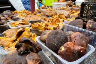 Grzybiarze sprzedają swoje zbiory na rynku maślanym 