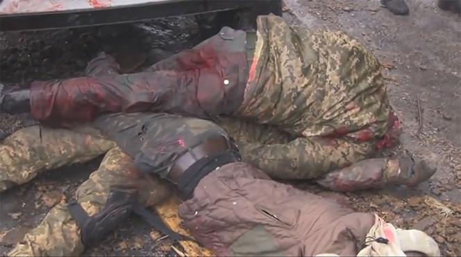 DRASTYCZNE! Rosyjskie BESTIE nie znają litości! Krew, [ZDJĘCIA i WIDEO +18]