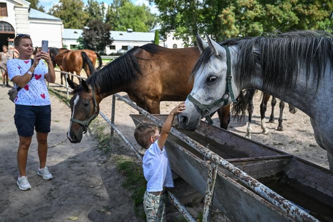 Prawie 640 tys. euro za konie na aukcji Pride of Poland