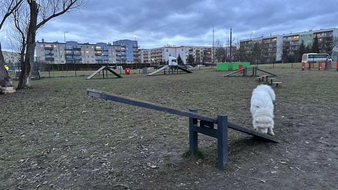 Psi park na ul. Opolczyka w Łodzi